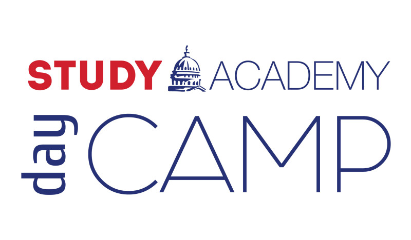 Day Camp — дневной лагерь от STUDY Academy