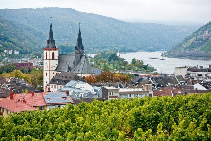 БАЛТИЙСКИЕ КАНИКУЛЫ