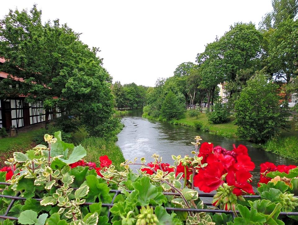 Лингво-кемп фото 1