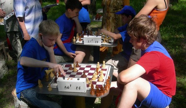 Чайка фото 1