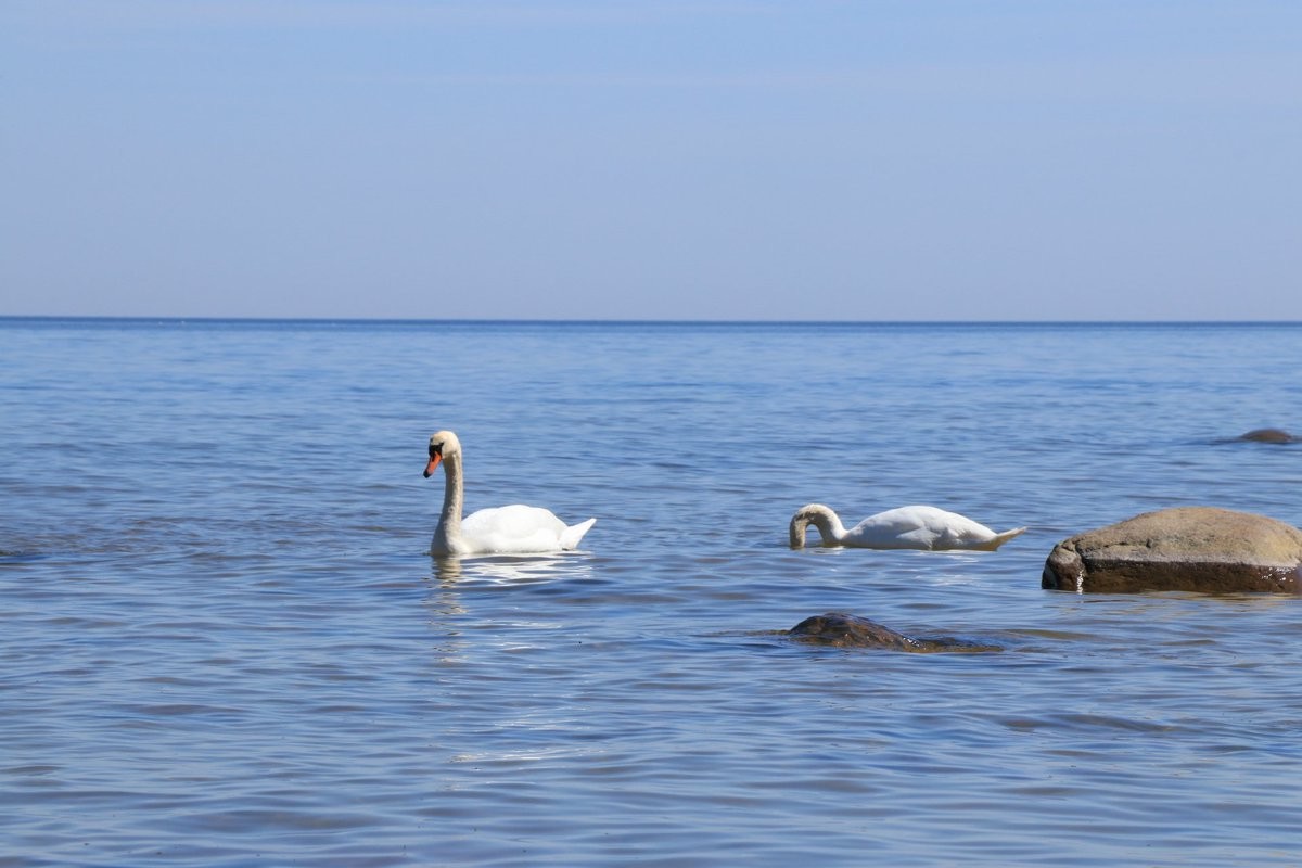 Психологический тренинг-лагерь Ресурс фото 1