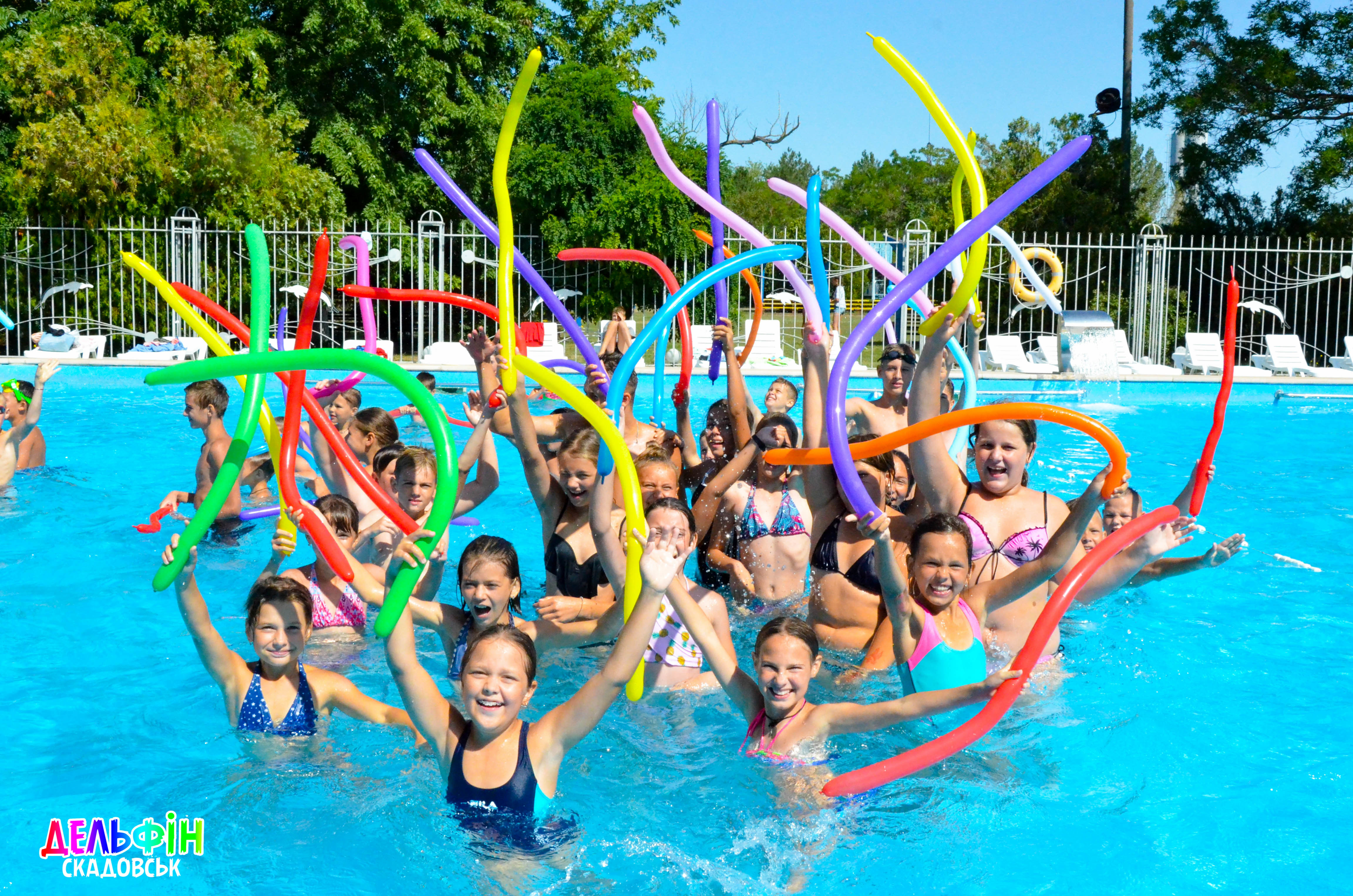 ДЗСТ ДЕЛЬФІН фото 1