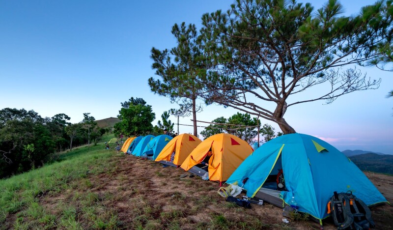 ЭКО РАЙ - ДЕТСКИЙ ПАЛАТОЧНЫЙ ЛАГЕРЬ