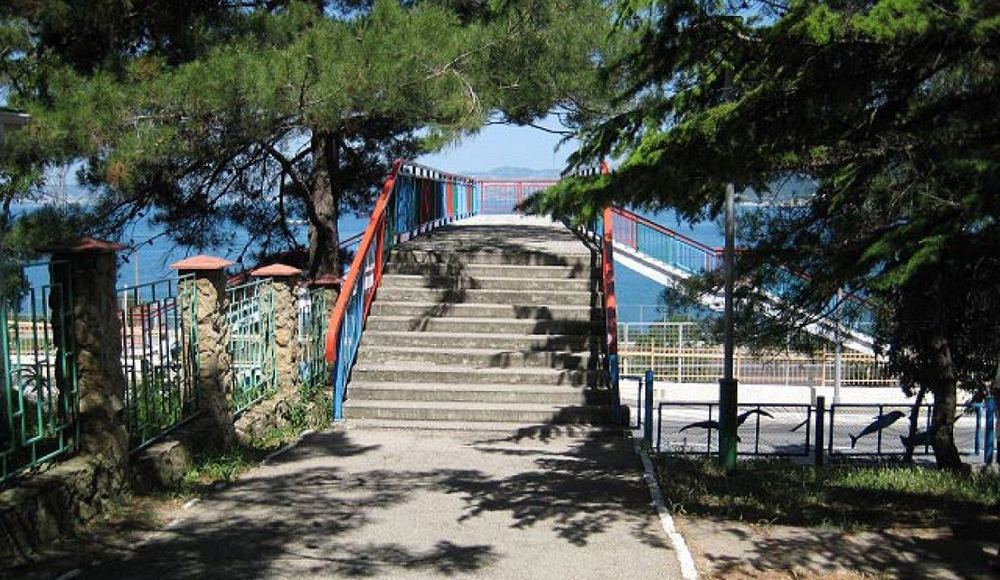 Экспресс фото 1