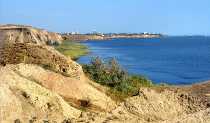 English Leader Business Camp фото 1