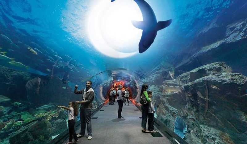 English Summer Camp Mawasim