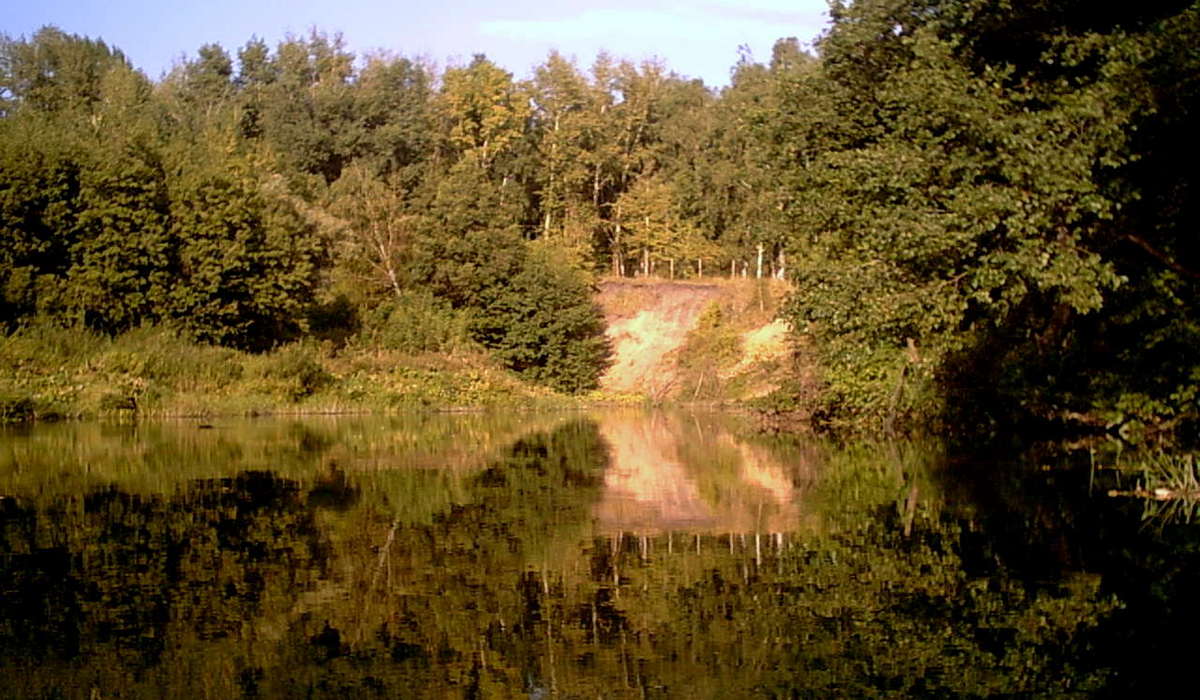 Алмаз Центр детского отдыха им. Ю.Гагарина фото 1