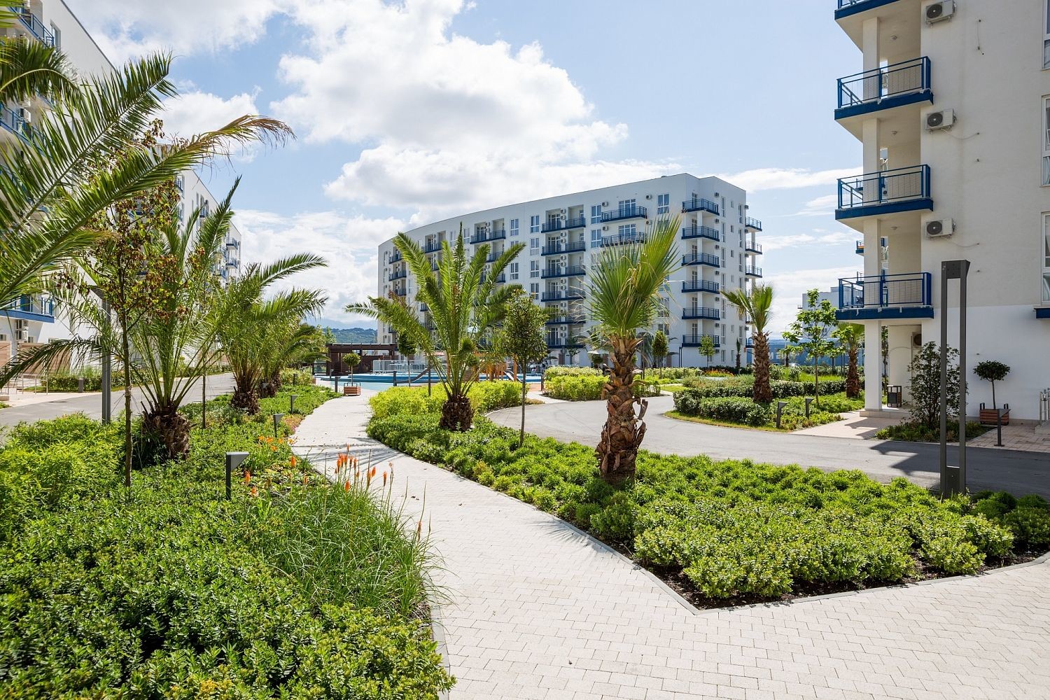 Футбольный лагерь в Сочи Ангелово фото 1