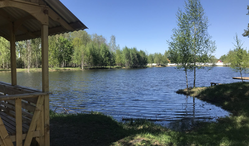 Halloween party 2018! фото 1