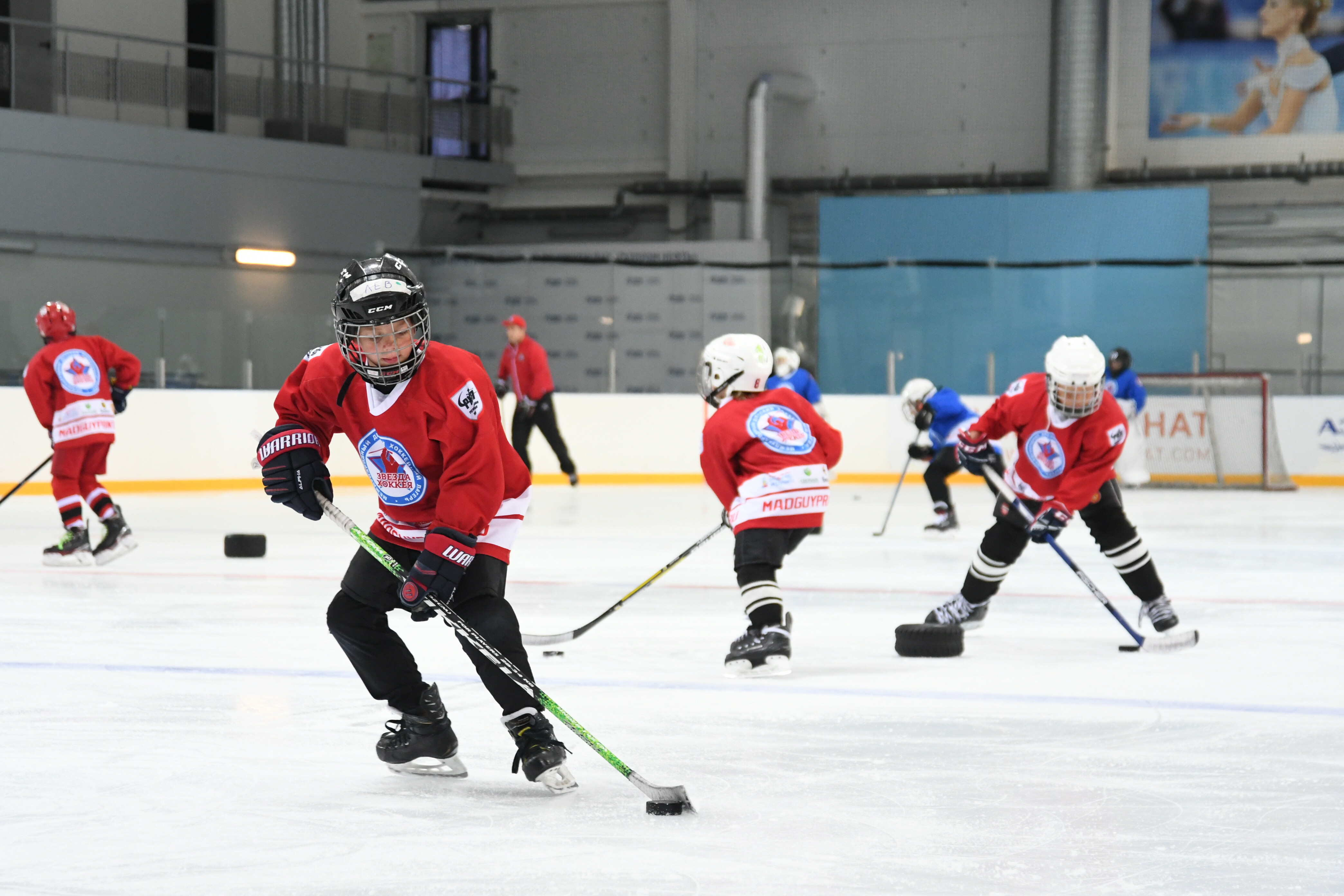Звезда хоккея фото 1