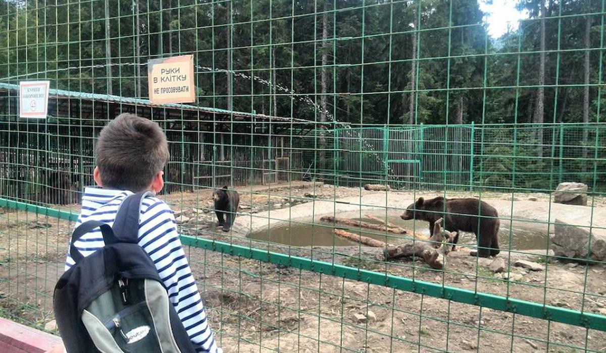 Kangaroo club фото 1