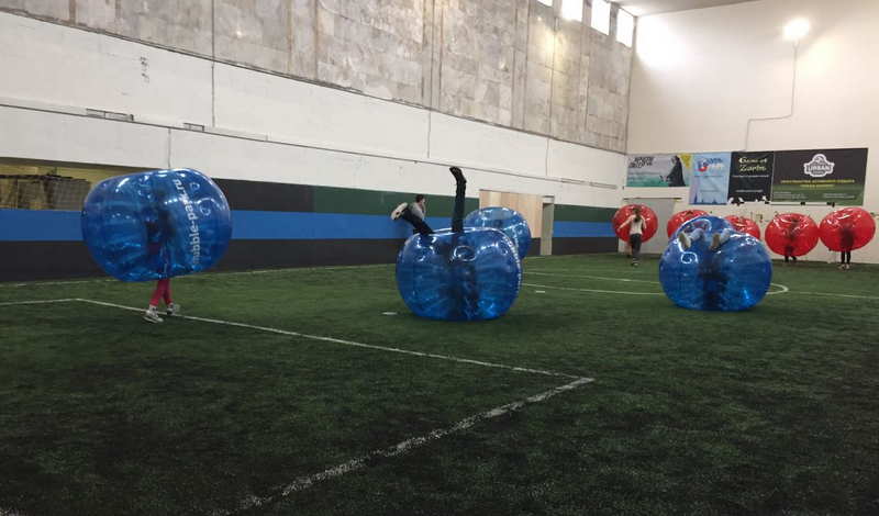 Клевер фото 1