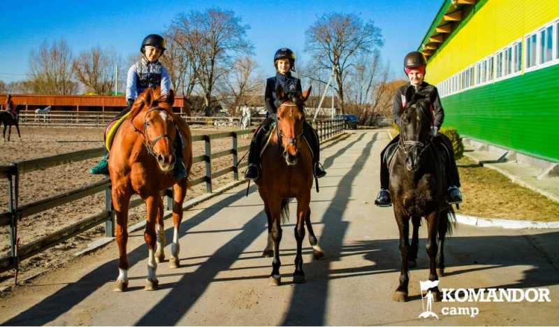 Komandor Camp Конный