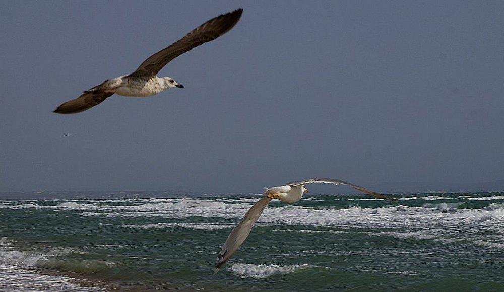 Люди Будущего фото 1