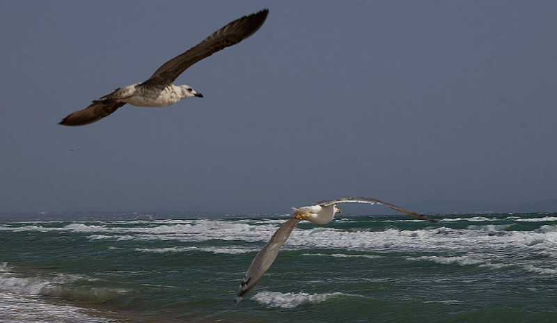 Люди Будущего