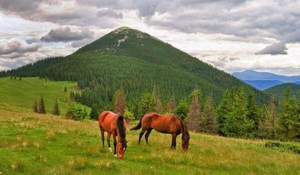 Семейный отдых в Мигово фото 1