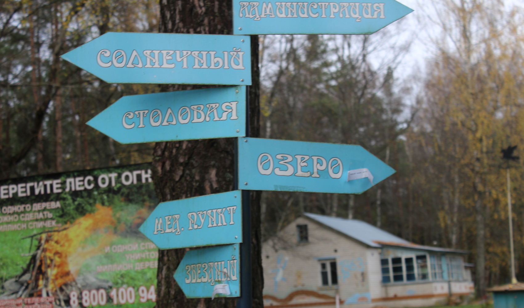 Жемчужина