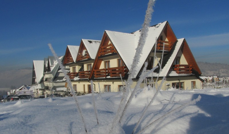 ВЕСЕЛЫЕ ЛЫЖИ фото 1