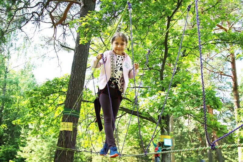 Загадки кроличьей норы фото 1