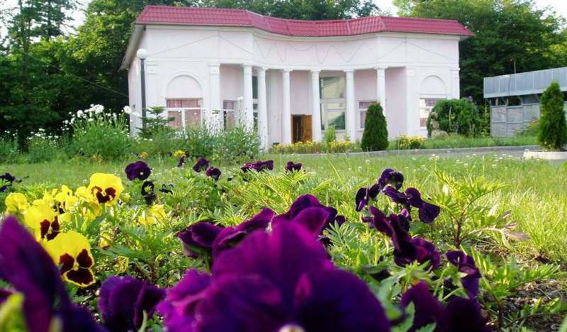 Зеленый Гай