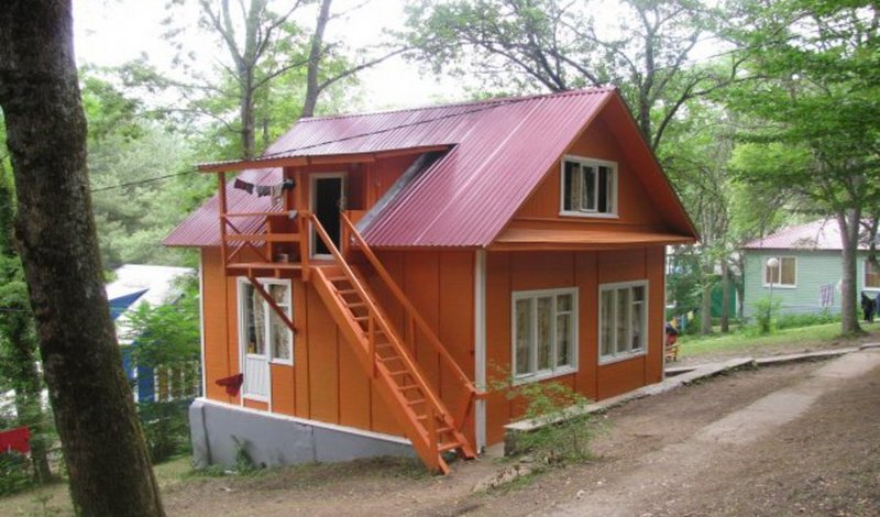 Золотая Лоза фото 1