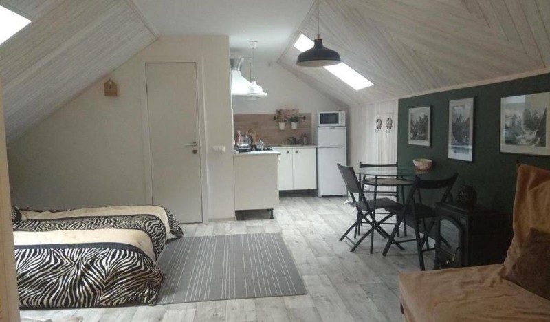 Apartment Zebra Красная Поляна