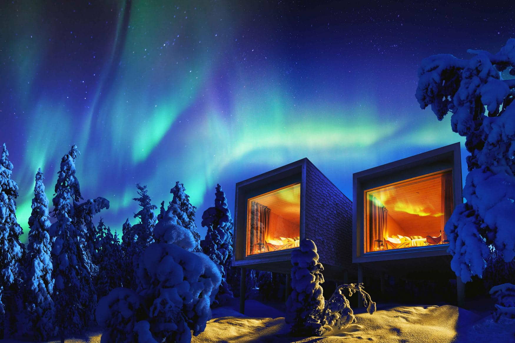Arctic TreeHouse Hotel фото 1