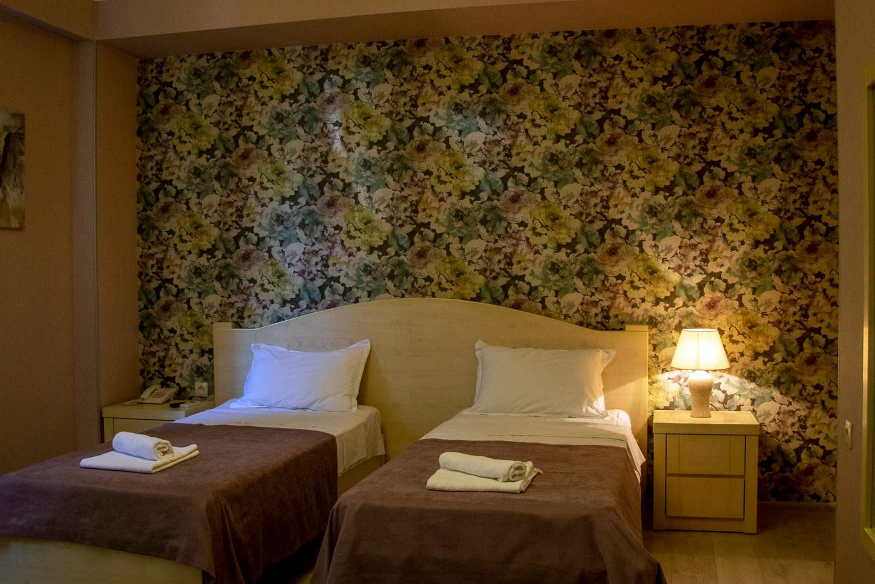 Hotel New Metekhi