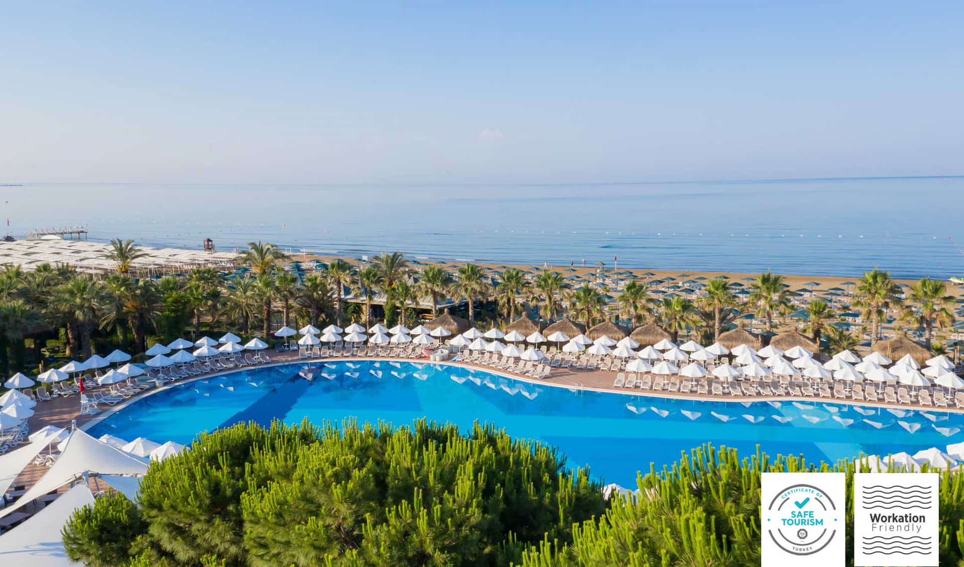 Paloma Oceana