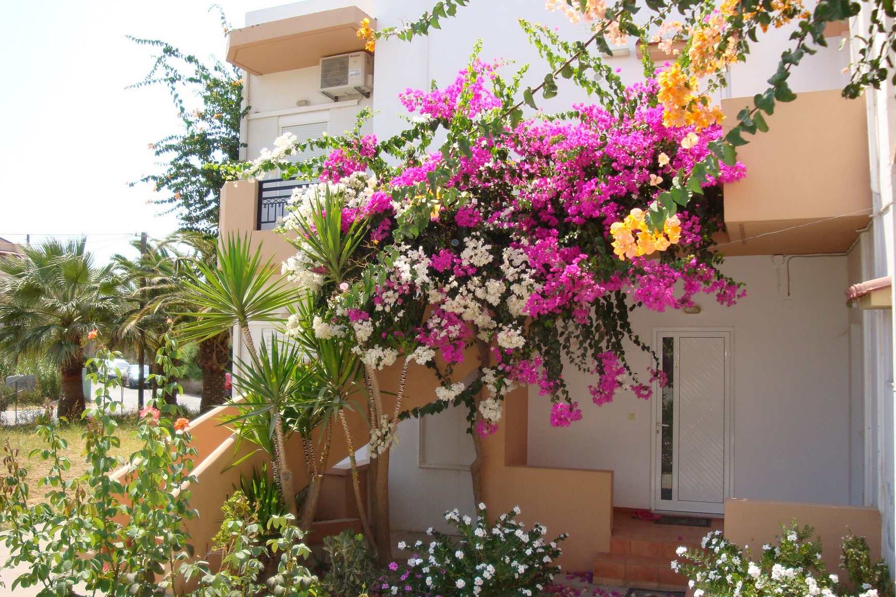 Yannis Apartments Amoudara