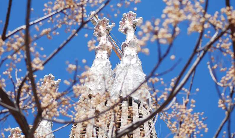 Барселона в марте: весеннее свидание с Каталонией