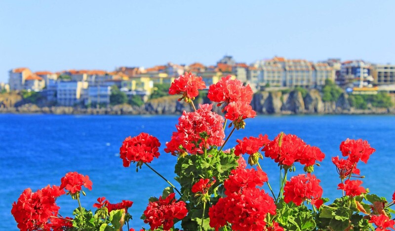 Болгария в июле: доступное удовольствие