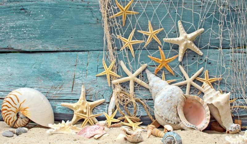 Что привезти из Геленджика в подарок: 18 лучших сувениров