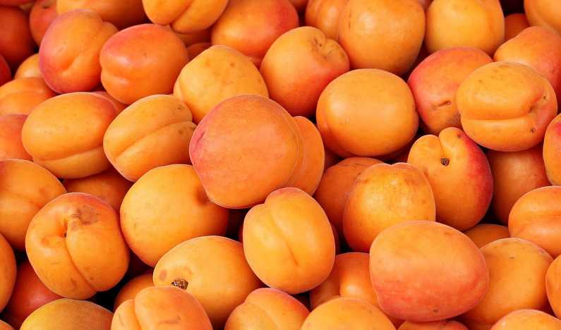 Фрукты Испании