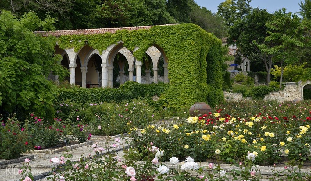 5 лучших приморских парков болгарии, где хорошо и в жару фото 4