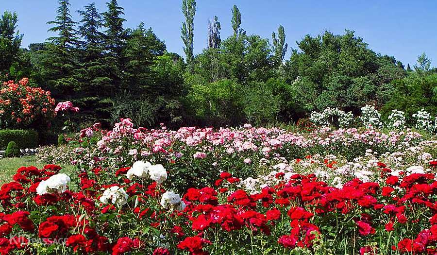 5 лучших приморских парков болгарии, где хорошо и в жару фото 5