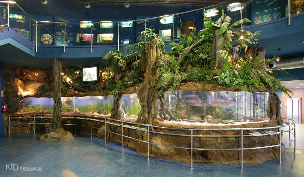 детские маршруты: барселона фото 4