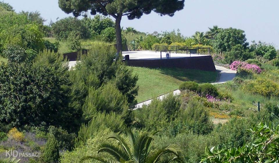 детские маршруты: барселона фото 5