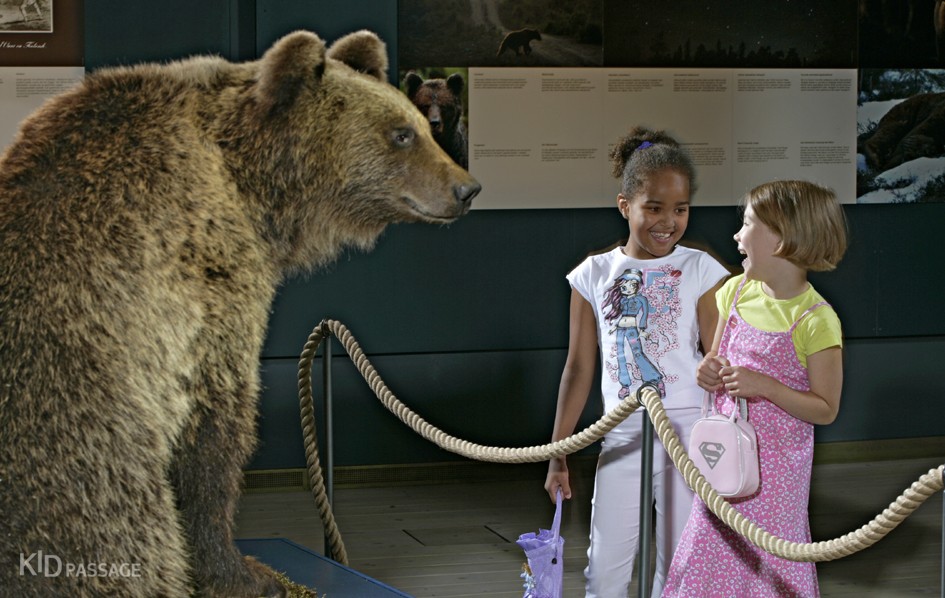 детские маршруты: лапландия фото 3