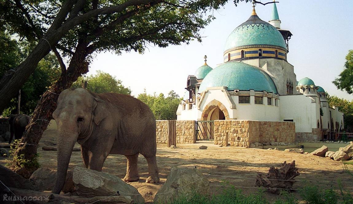 детские маршруты: будапешт