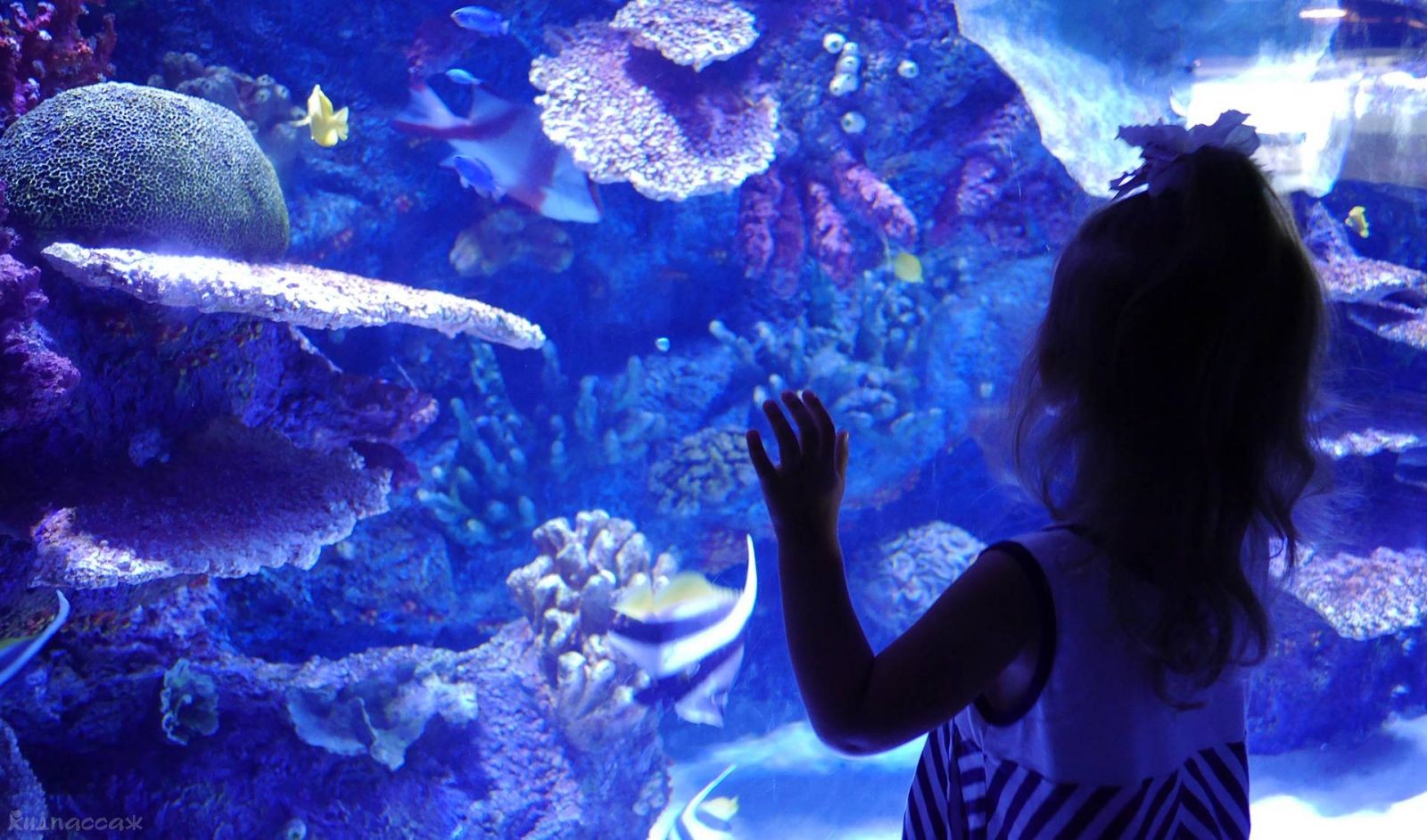 детские маршруты: анталья фото 3