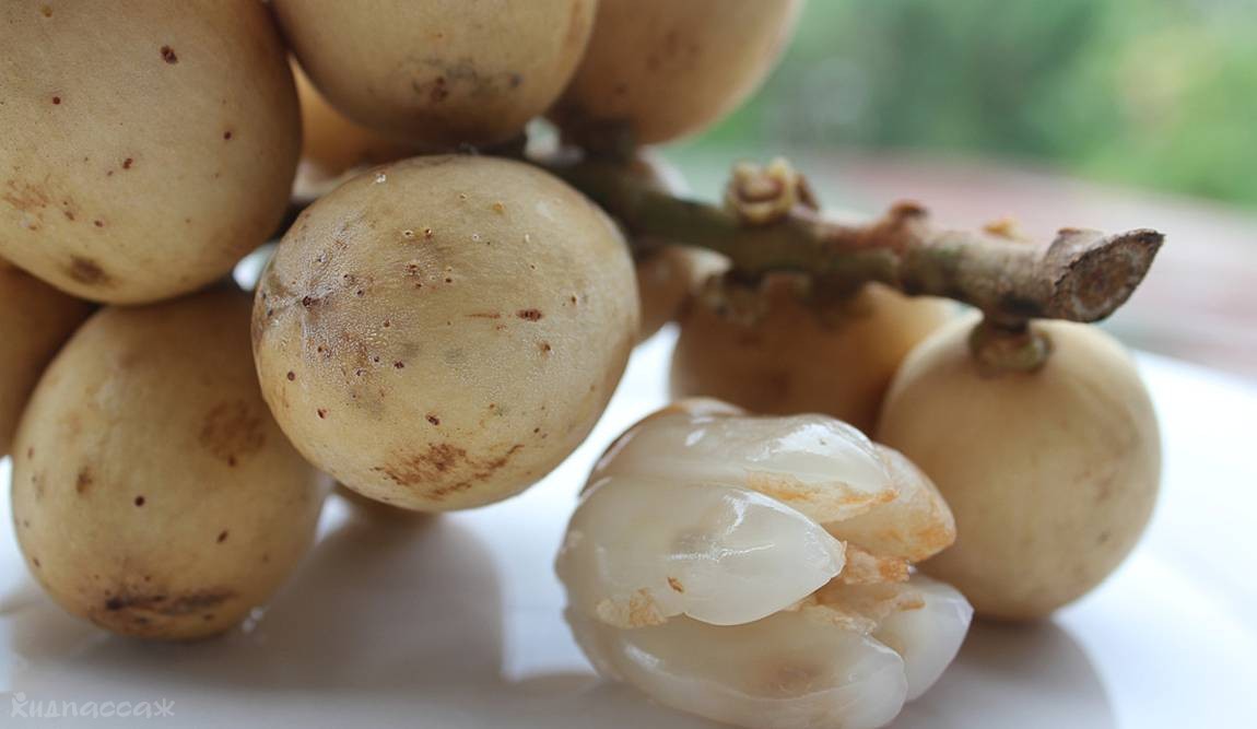 фрукты таиланда фото 12