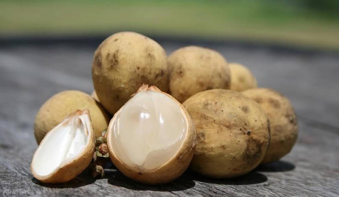 фрукты таиланда фото 13