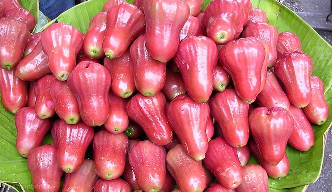 фрукты таиланда фото 19