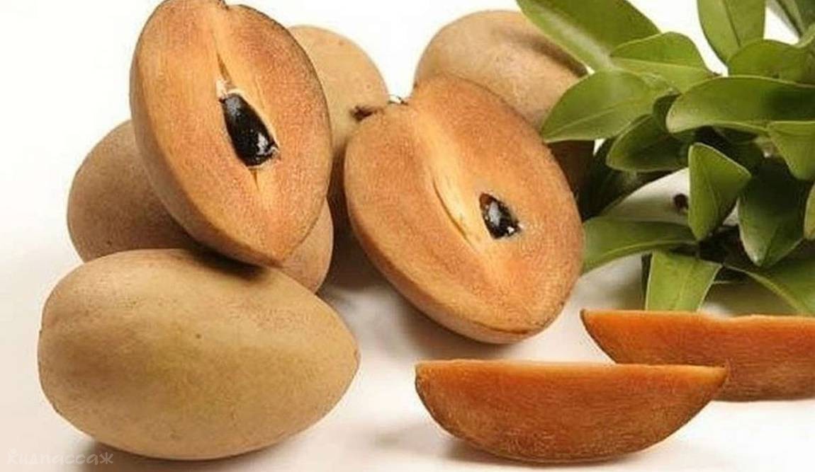 фрукты таиланда фото 21