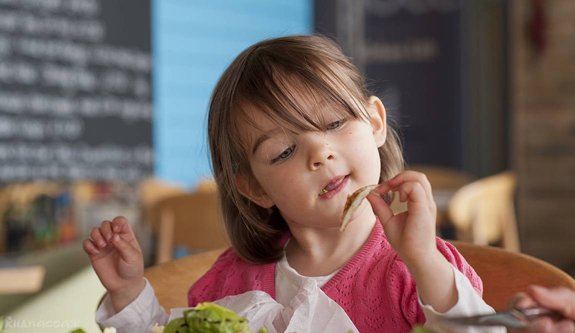 что попробовать в праге из еды: гастрономический путеводитель для всей семьи фото 6