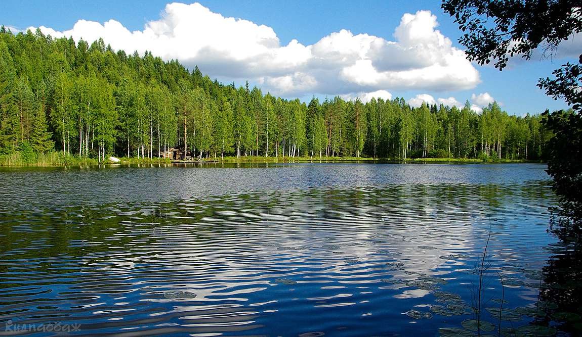 11 интересных фактов о финляндии