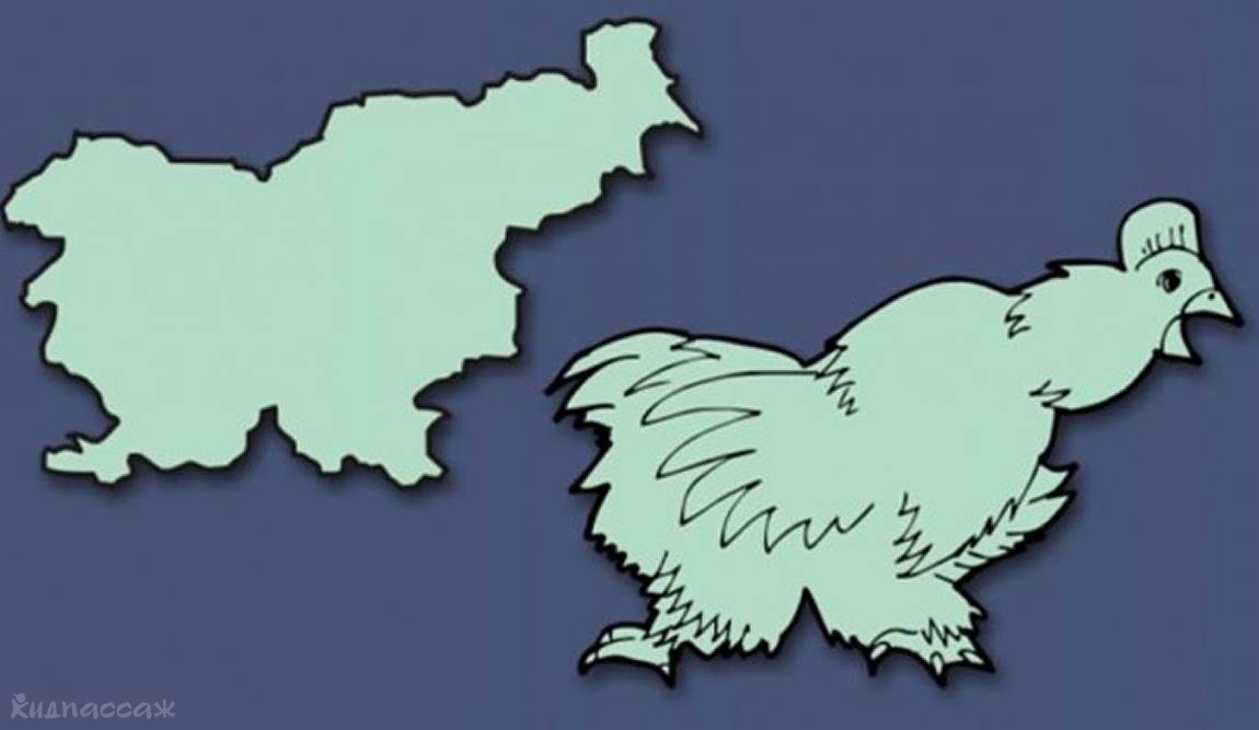 11 интересных фактов о словении фото 4