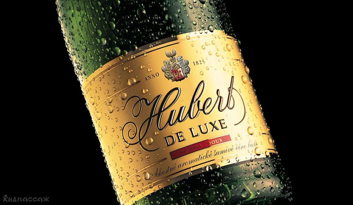 9 интересных фактов о братиславе фото 3