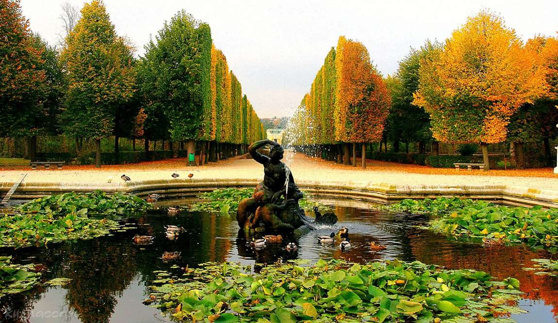 вена в ноябре: предпраздничное затишье фото 2